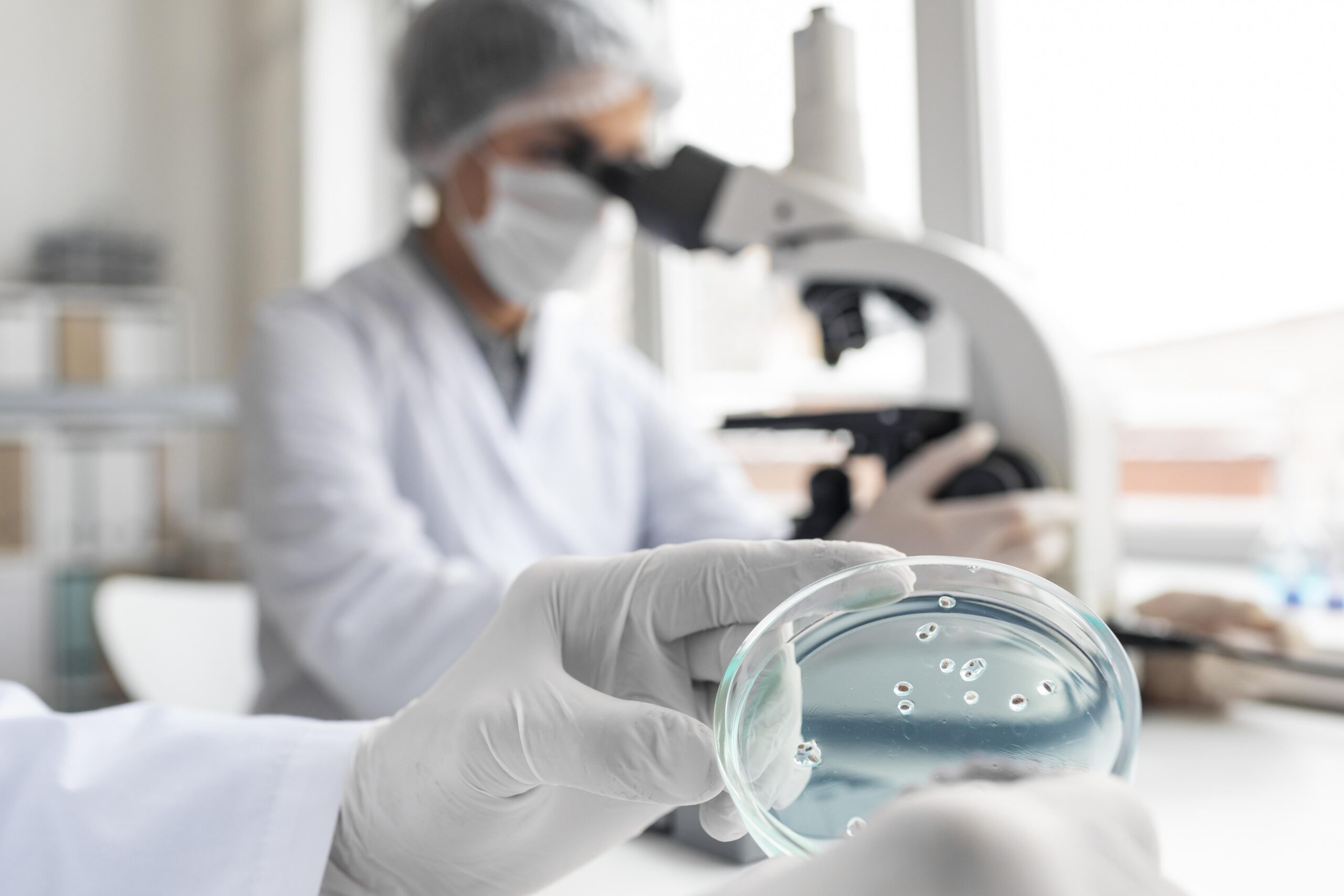 Μοριακό Τμήμα